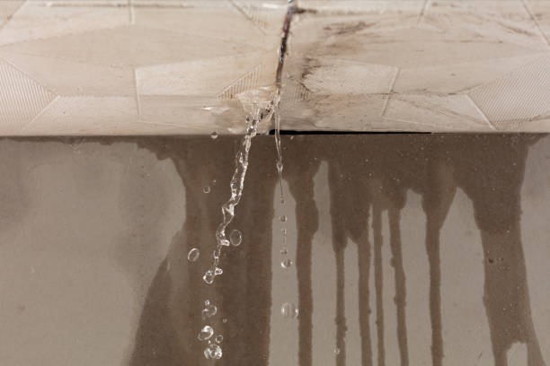 Professional Water Damage Repair technician working in Meridian, OK